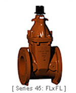 UL/FM Gate Valves: 25 & 45